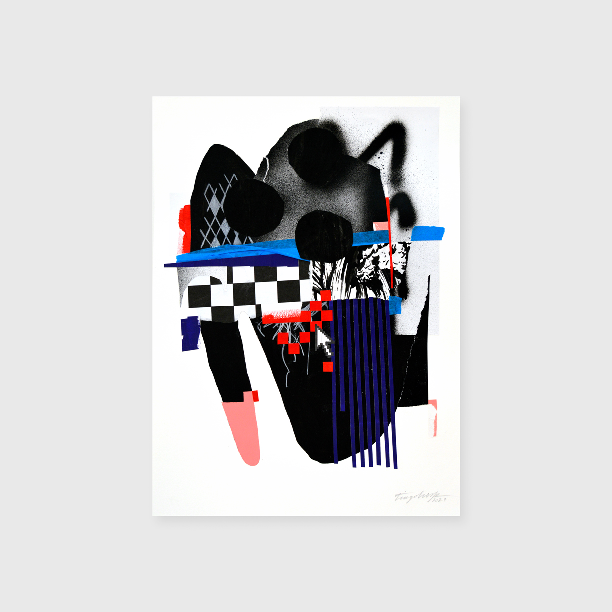 Mountain cat - Tiago Hesp